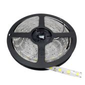 LED Strip Professional Edition 14.4W/m 24V 60 Leds/M