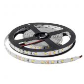 LED Strip Professional Edition – 4.8W/m Cool White